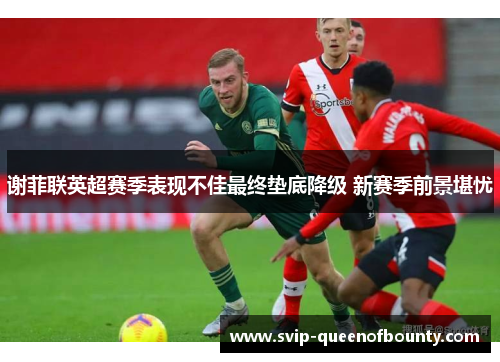 谢菲联英超赛季表现不佳最终垫底降级 新赛季前景堪忧
