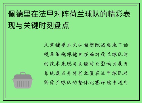 佩德里在法甲对阵荷兰球队的精彩表现与关键时刻盘点